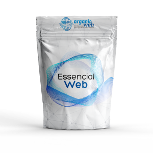 Essencial Web
